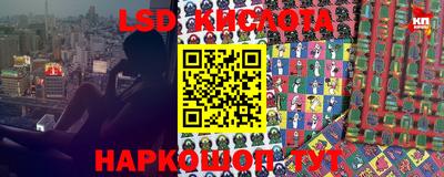 a pvp Кингисепп