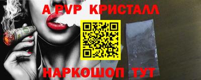 a pvp Кингисепп