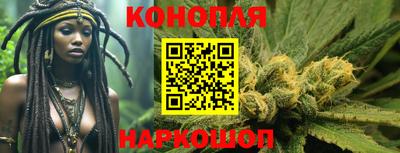 a pvp Кингисепп