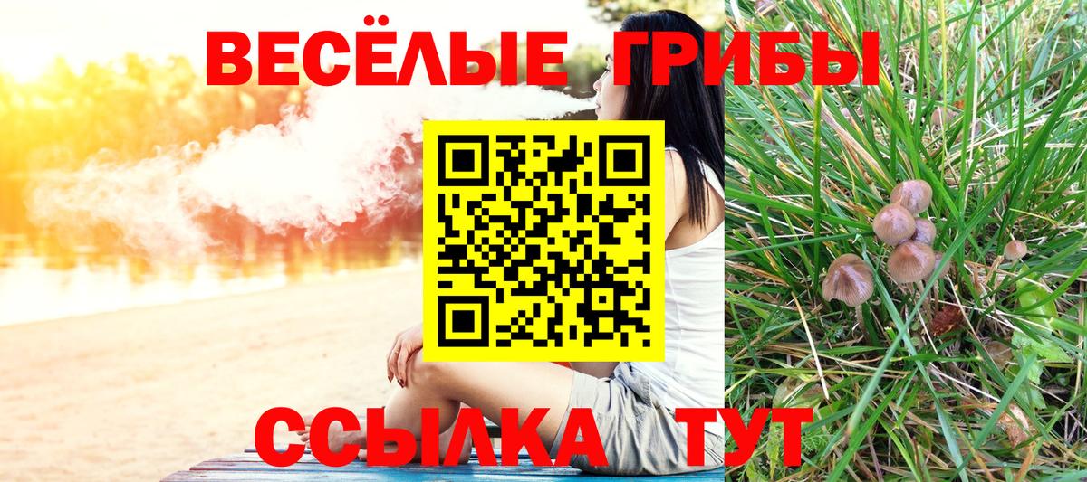 Корсаков  Галлюциногенные грибы Psilocybe  Вход с VPN 