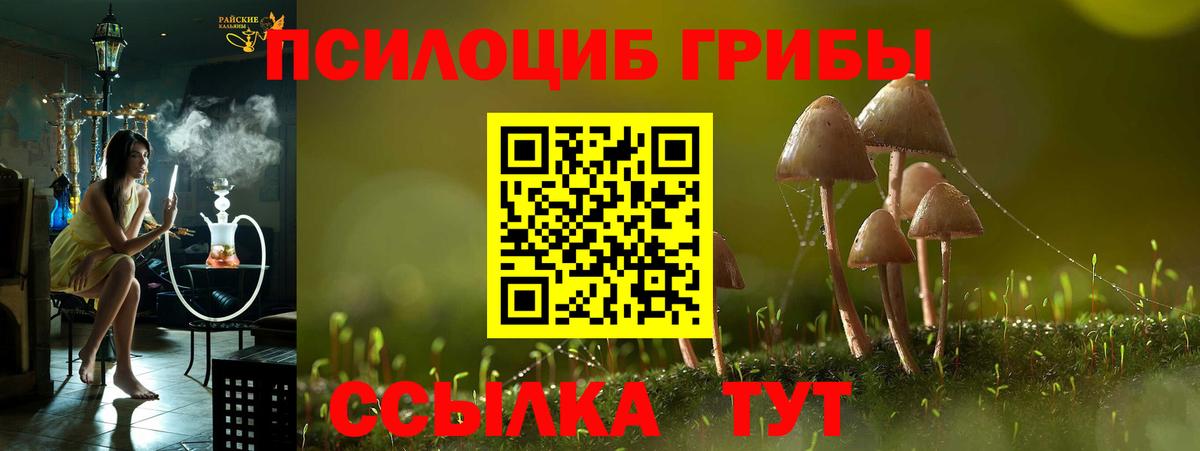 Псилоцибиновые грибы Magic Shrooms Корсаков